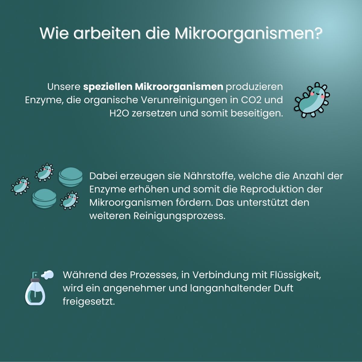 5 x WC-Einhänger "Smart" recycelter Kunststoff