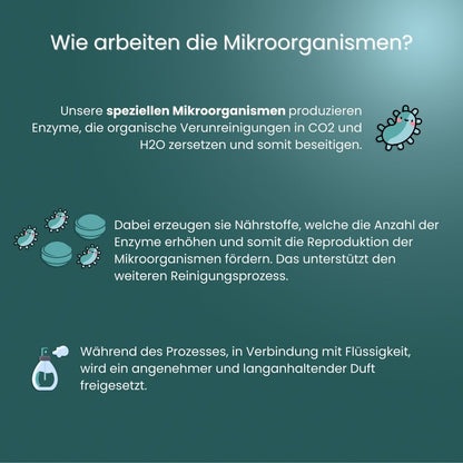 2 x WC-Einhänger &quot;Deluxe&quot; Edelstahl; Inkl. 4 x Nachfüllpack- Sparset II
